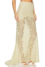 Pasion Skirt - thumbnail 5