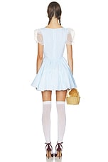 Kansas Bound Costume - thumbnail 6