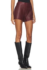Zoie Leather Short - thumbnail 5