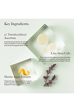 Antioxidant Repair Serum - thumbnail 7