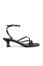 Product image of Dolce Vita Baylor Sandal. Click to view full details