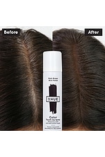 Color Touch-up Spray - thumbnail 4