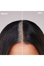 Root Touch-up Kit For Resistant Grays - thumbnail 4