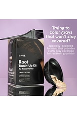 Root Touch-up Kit For Resistant Grays - thumbnail 5