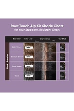 Root Touch-up Kit For Resistant Grays - thumbnail 10