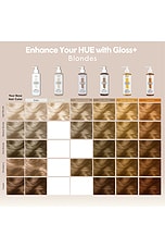 Gloss+ - thumbnail 9