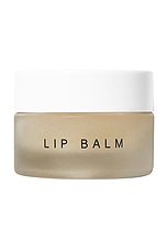 Product image of Dr. Barbara Sturm Lip Balm. Click to view full details