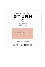 Face Cream Rich - thumbnail 7