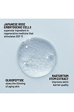 Dare To Age Revitalizing Face Serum - thumbnail 5
