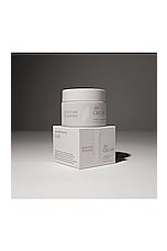 Face Cream - thumbnail 6