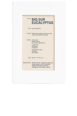 Big Sur Eucalyptus Eau de Parfum - thumbnail 5