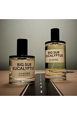 Big Sur Eucalyptus Eau de Parfum - thumbnail 7