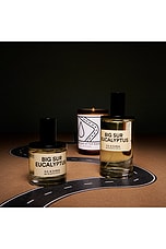Big Sur Eucalyptus Eau de Parfum - thumbnail 8