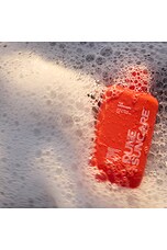 The Lifeguard - thumbnail 10