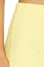 Jace Skirt - thumbnail 8