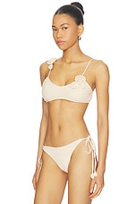 Adrienne Top - thumbnail 5
