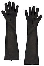 Leather Gloves - thumbnail 5
