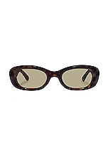 Calisto in Dark Tort