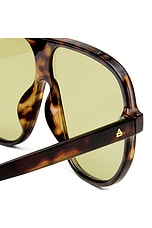 Hydrus Sunglasses - thumbnail 6
