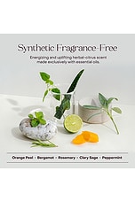 The Shampoo Concentrate - thumbnail 6
