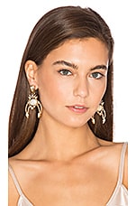 Product image of Elizabeth Cole Earrings. Click to view full details
