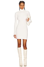 Rib Turtleneck Sweater Dress