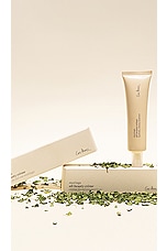Moringa All-Beauty Creme - thumbnail 7