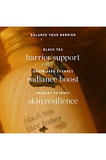 Black Tea Face Toner - thumbnail 7