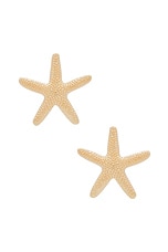 Starfish Earring