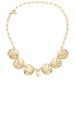 Scallop Shell Choker