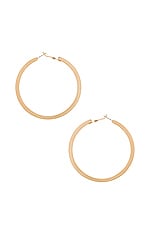 Product image of Ettika Classic Hoops. Click to view full details