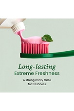 Toothpaste Original - thumbnail 8