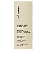 Hydrating Lip Balm - thumbnail 10