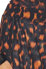 Seby Pant - thumbnail 9