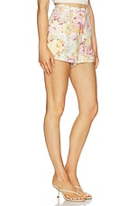 Petro Shorts - thumbnail 5