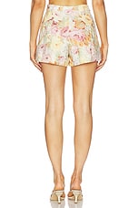 Petro Shorts - thumbnail 7