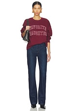 The Collegiate Embroidery Sweatshirt - thumbnail 8