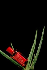 Mezcal Chocolat Eau De Parfum - thumbnail 9