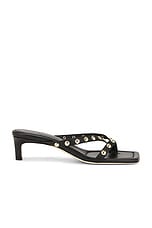 Elaine Sandal