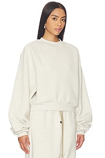 90's Raglan Sweatshirt - thumbnail 6