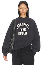 Campus 90's Cropped Raglan Crewneck - thumbnail 4