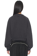 Campus 90's Cropped Raglan Crewneck - thumbnail 6