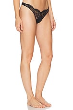 Frankie Lace Thong - thumbnail 10