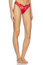 Frankie Lace Thong - thumbnail 4