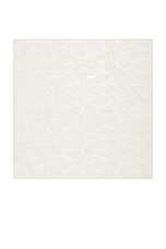 Rosa Lace Scarf - thumbnail 7