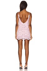 Lakeside Mini Dress - thumbnail 6