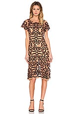For Love & Lemons Antonina Dress in Black & Nude | REVOLVE