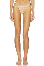 Twilight Rose Thong Panty - thumbnail 4