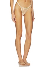 Twilight Rose Thong Panty - thumbnail 5