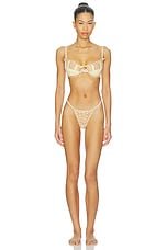 Twilight Rose Thong Panty - thumbnail 7